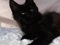 DSC_4643