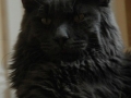 Bono_7707590
