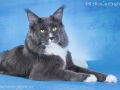 Baron-12-y