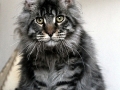 IMG_013ghjsfh3